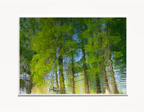 Licia Di Segni | LDIS 10