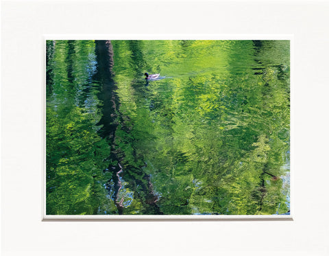 Licia Di Segni | LDIS 12