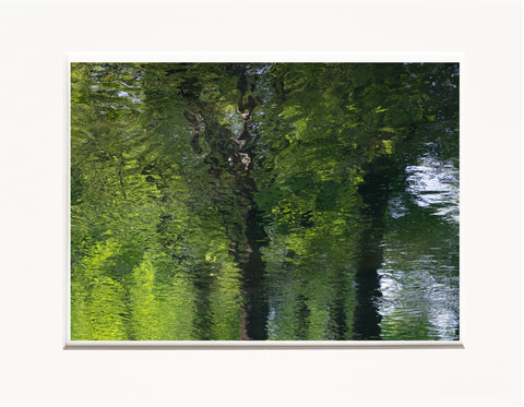 Licia Di Segni | LDIS 13