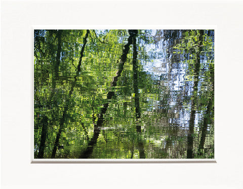 Licia Di Segni | LDIS 14