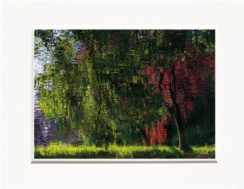 Licia Di Segni | LDIS 16