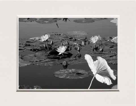 Lucretia Moroni | LUM 01