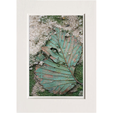 Lucretia Moroni | LUM 02