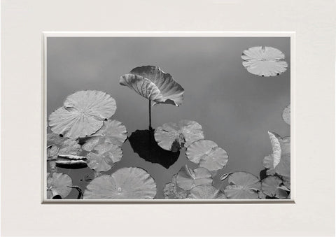 Lucretia Moroni | LUM 05