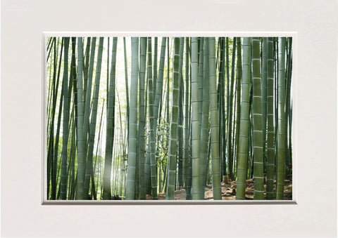 Lucretia Moroni | LUM 06