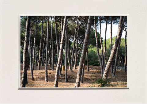 Lucretia Moroni | LUM 07