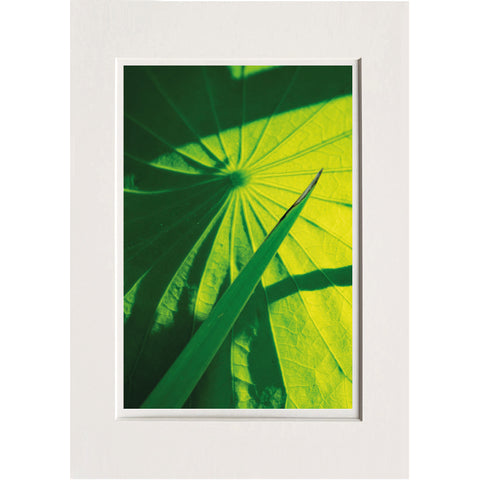 Lucretia Moroni | LUM 08