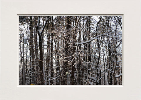 Lucretia Moroni | LUM 12