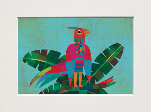 Giulia Orecchia | Mini pappagallo | 24,5 x 32,5 cm | (MINI GO12)