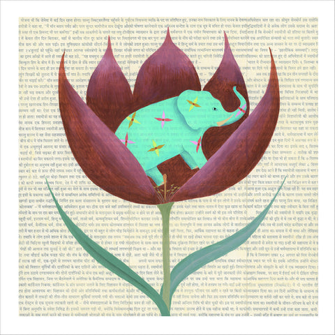 Chiara Passigli | Elefante (MINIPAS 18)