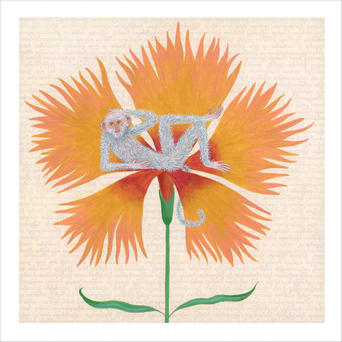 Chiara Passigli | Scimmia (MINIPAS 19)