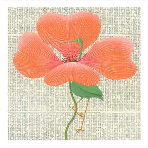 Chiara Passigli | Gru (MINIPAS 24)