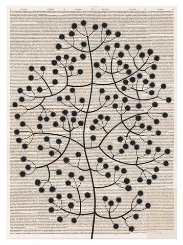 Chiara Passigli | Ink Flower Tale | ( PAS 26)