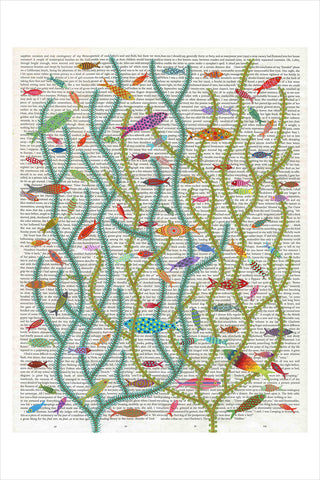 Chiara Passigli | Coral Reef (BIG) | ( PAS 38)