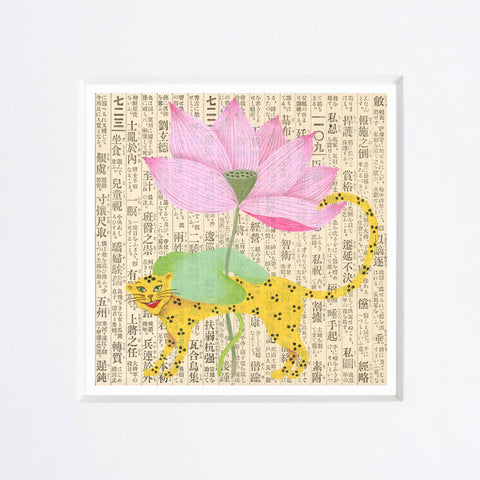 Chiara Passigli | Loto (MINIPAS 02)