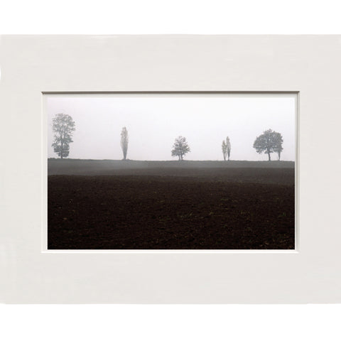 Tiziano Alderighi | Milano #49 TA MI 49 PP