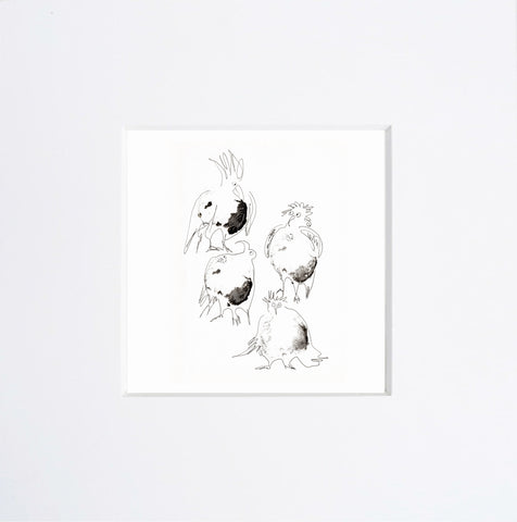 Beatrice Gaspari | Polli (MINIBEA 03)