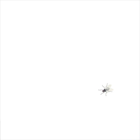 Guido Scarabottolo | Senza titolo | 27 x 27 cm | (MINISCA 23)