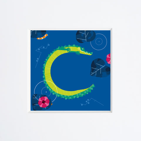 Giovanna Lanfranchi | Lettera C (come Coccodrillo)