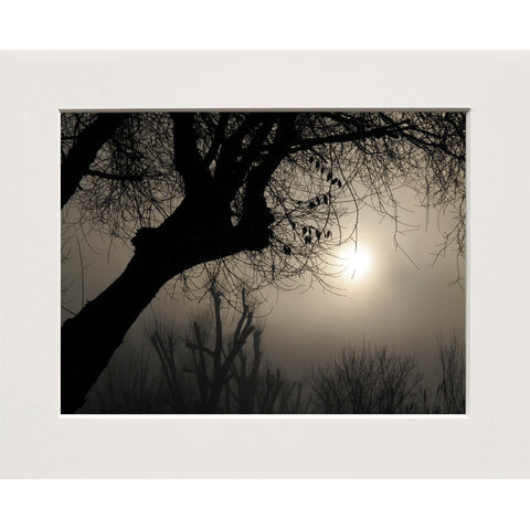 Tiziano Alderighi | Milano #13 TA MI 13 PP