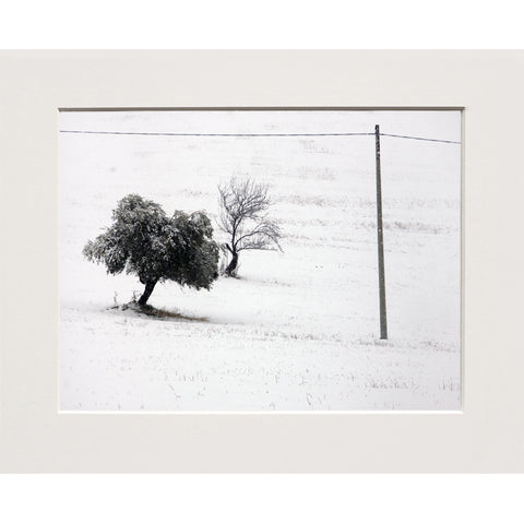 Tiziano Alderighi | Milano #25 TA MI 25 PP