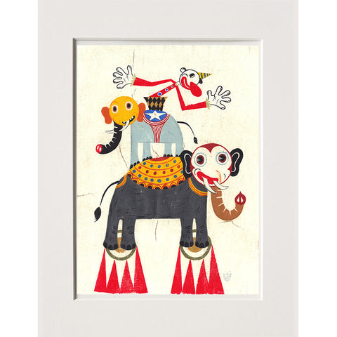 Spider | Grande Alfredo (SPI 27)