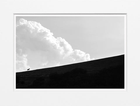 Ginevra Bellesi | Marche, 2020 | GB 01