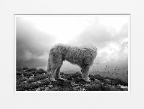 Ginevra Bellesi | Monte Vettore, 2020 | GB 03