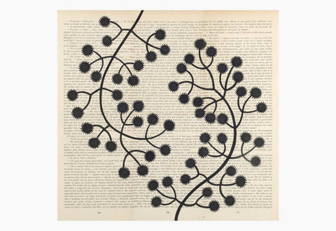 Chiara Passigli | Ink Flower Tale 1 | (PAS 06)