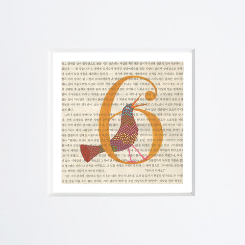 Chiara Passigli | SEI