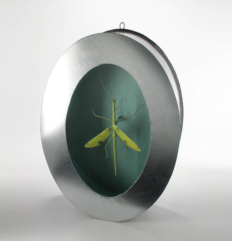 Francesco Bocchini | In der Natur | 5 |