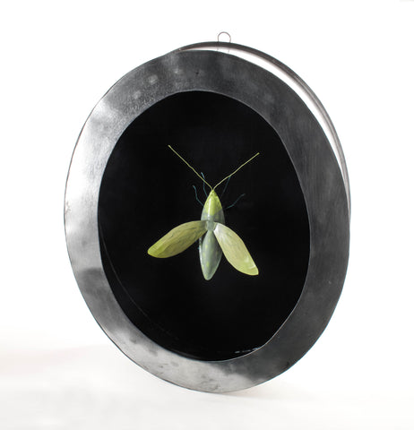 Francesco Bocchini | In der Natur | 6 |