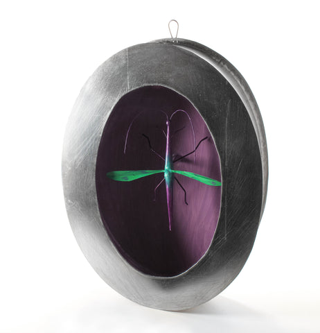 Francesco Bocchini | In der Natur | 4 |