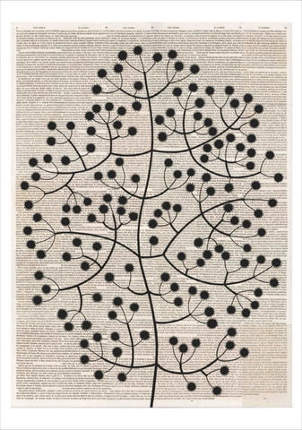 Chiara Passigli | Ink Flower Tale | ( PAS 26)