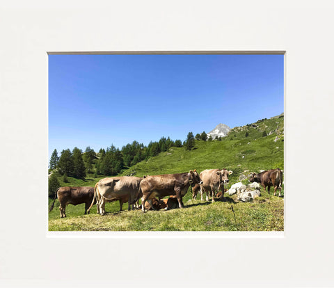 Margherita Lazzati | sulle orme di Segantini | Brune Alpine | ML P EN26 01 | 33 x 40 cm