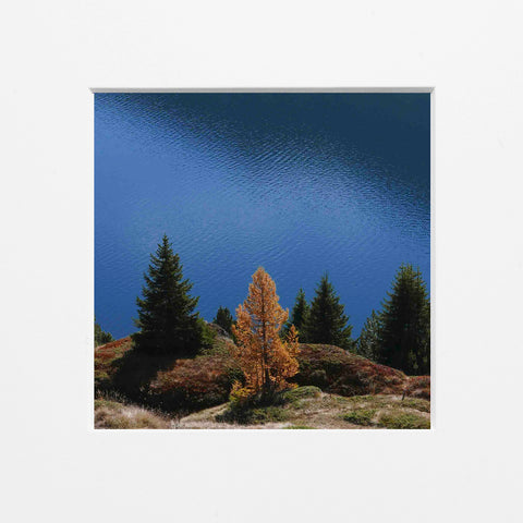 Margherita Lazzati | sulle orme di Segantini | ML P EN26 C23 | 30 x 30 cm