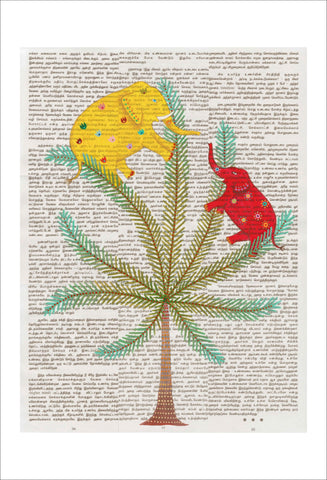 Chiara Passigli | Indian Summer 11 | (PAS 24)