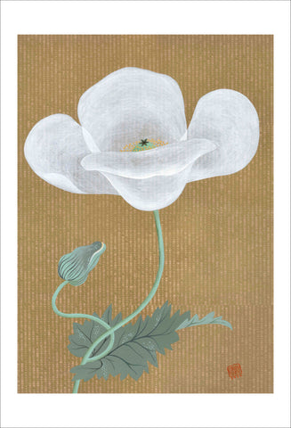 Chiara Passigli | Japanese Spring 2 | ( PAS 33)