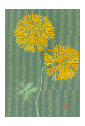 Chiara Passigli | Japanese Spring 3 | ( PAS 34)