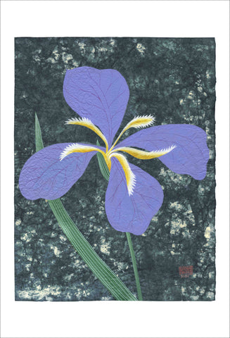 Chiara Passigli | Japanese Spring 5 | ( PAS 36)