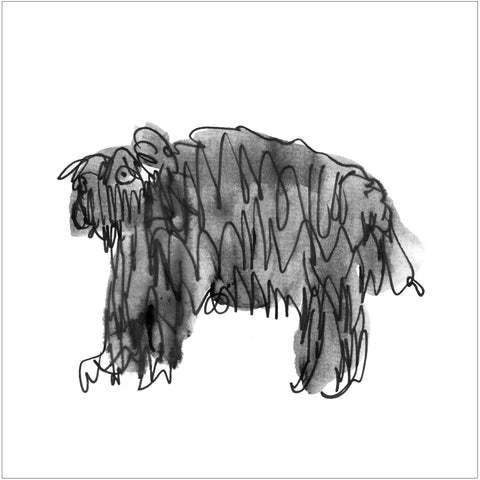 Beatrice Gaspari | Un cane peloso | 27 x 27 cm | (MINI BEA 38)