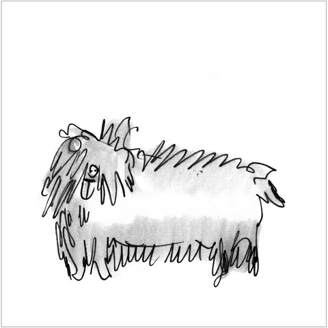 Beatrice Gaspari | Cane peloso | 27 x 27 cm | (MINI BEA 45)