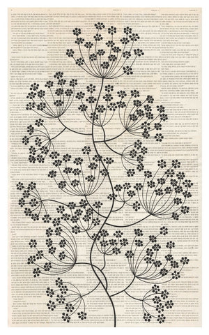 Chiara Passigli | Ink Flower Tale | ( PAS 27)