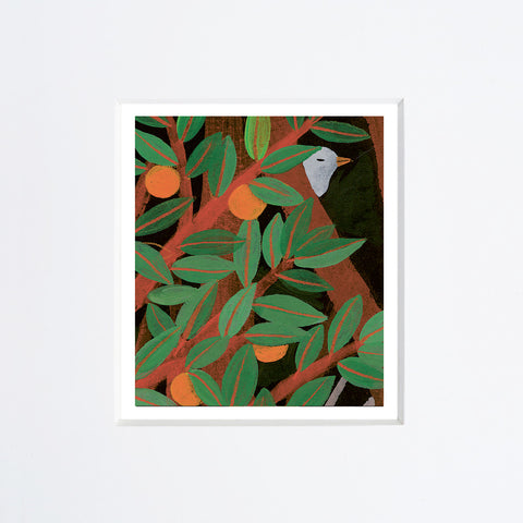Simona Mulazzani | Uccellino fra le arance | 25 x 25 cm | (MINIMU 75)
